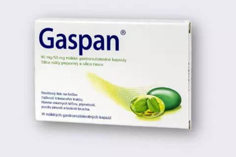 gaspan